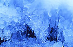 CO036
