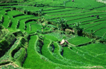 Indonesia