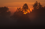 LA001