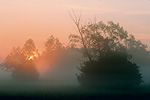 Landscapes