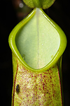 MA020