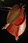 MA019