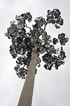 MA050