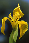 PL024