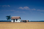The Puszta