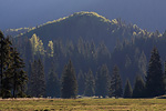 Transylvania